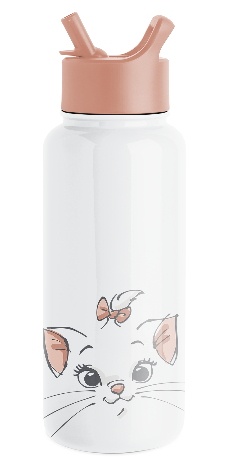 Disney Summit Water Bottle with Straw Lid