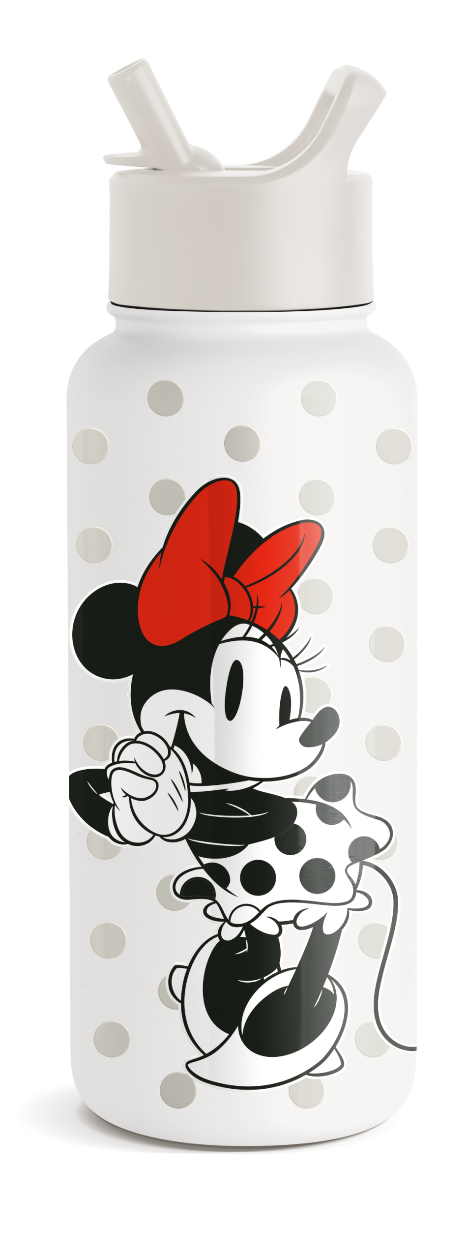 Disney Summit Water Bottle with Straw Lid
