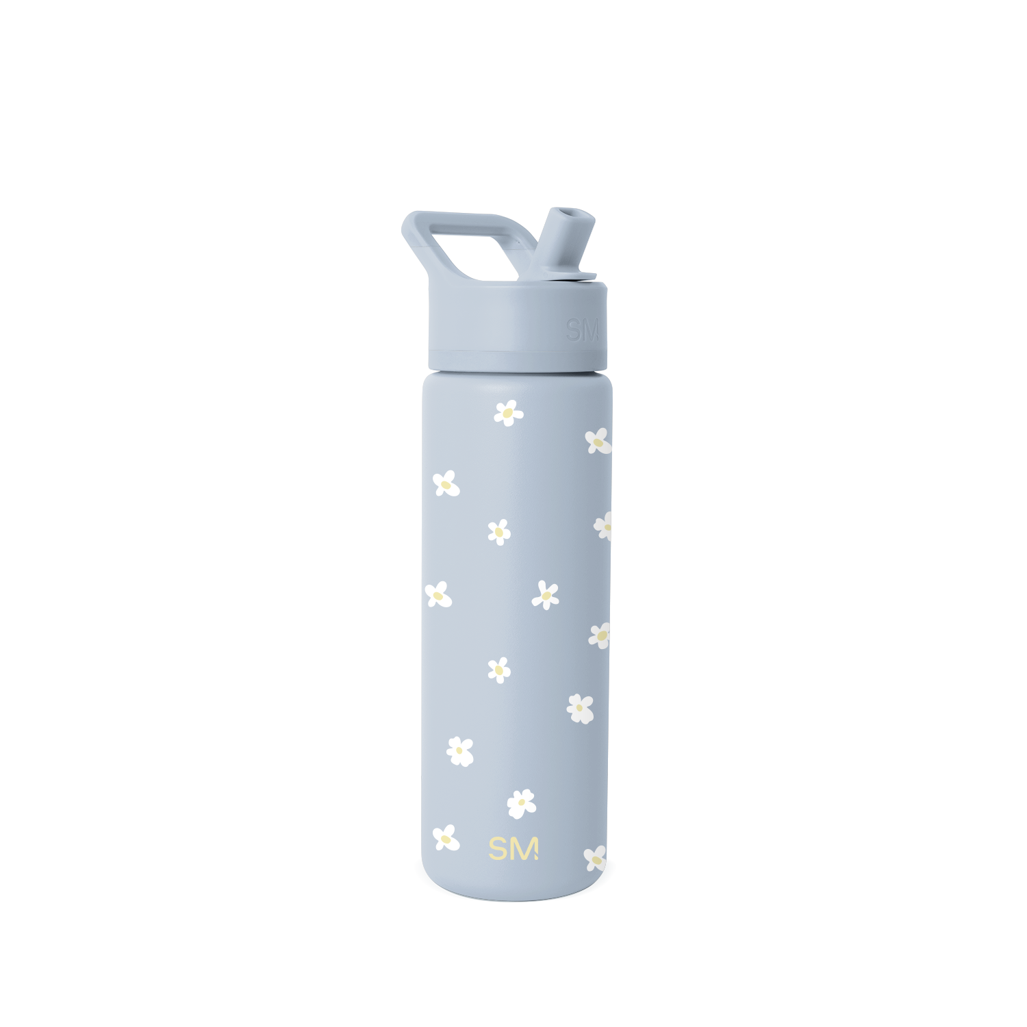 Summit Water Bottle with Straw Lid